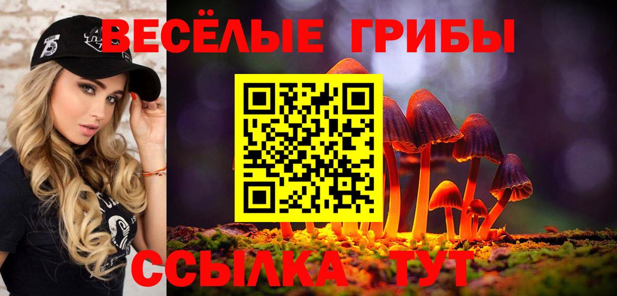 Алексин  Псилоцибиновые грибы GOLDEN TEACHER  Вход с VPN 